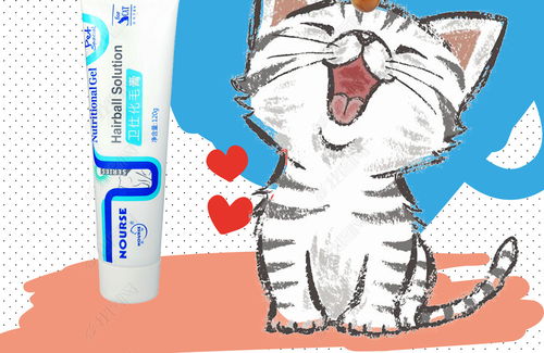 創(chuàng)意可愛卡通寵物貓用品dm單宣傳海報(bào)kt板圖片素材下載